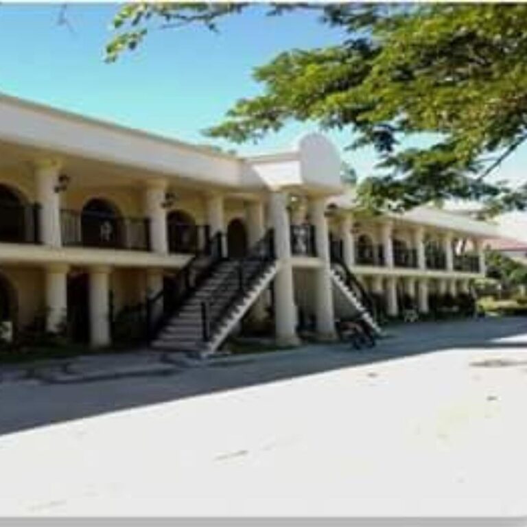 Condo Museleums 2