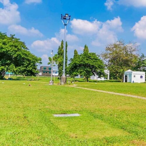 Lawn Lots